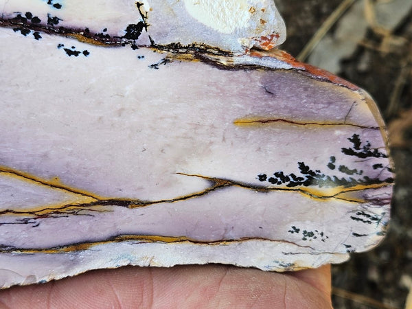 Polished Dendritic Mookaite slab MK534