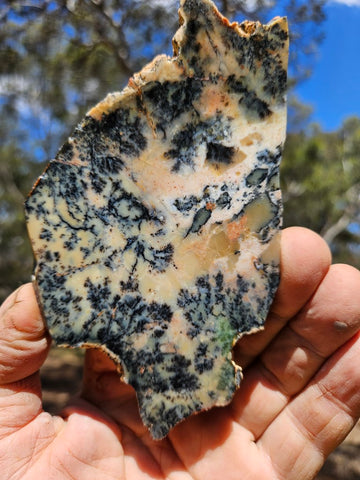 Polished Dendritic Opal DO215