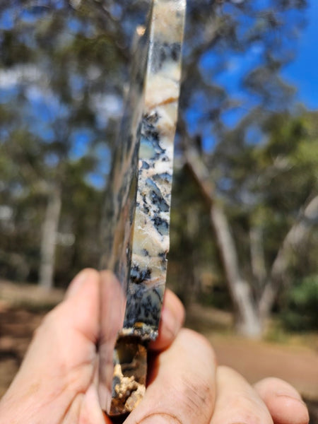 Polished Dendritic Opal DO215