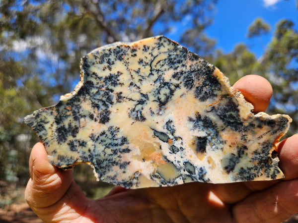 Polished Dendritic Opal DO215