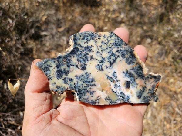 Polished Dendritic Opal DO215