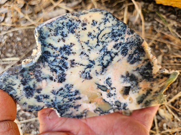 Polished Dendritic Opal DO215