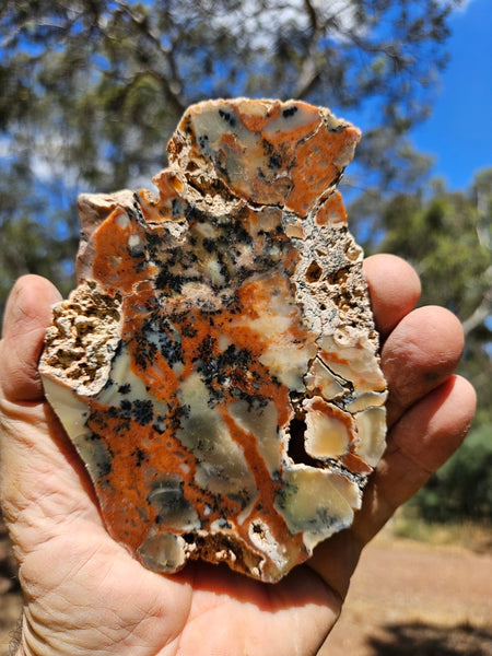 Polished Dendritic Opal DO214