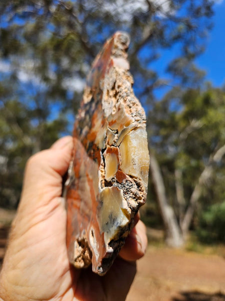 Polished Dendritic Opal DO214