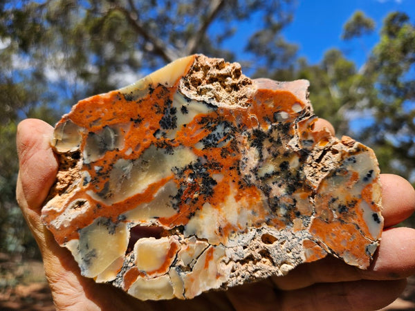 Polished Dendritic Opal DO214