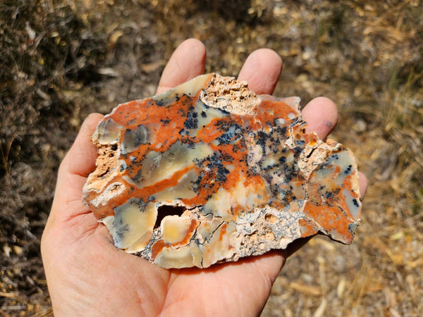 Polished Dendritic Opal DO214