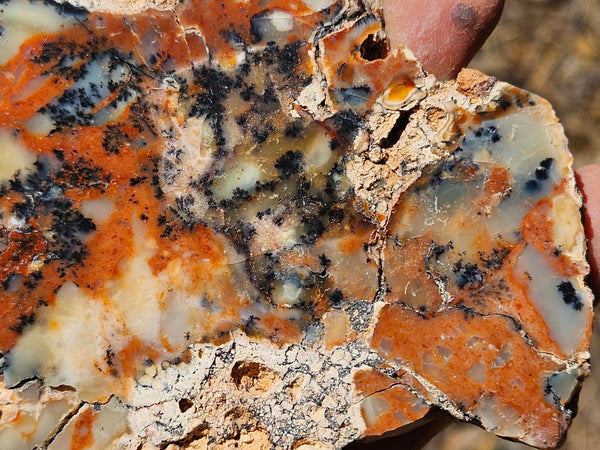 Polished Dendritic Opal DO214