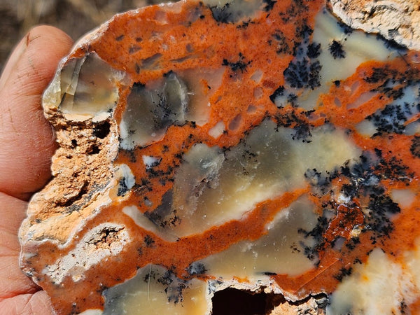 Polished Dendritic Opal DO214