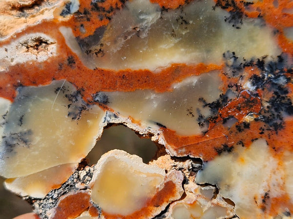 Polished Dendritic Opal DO214