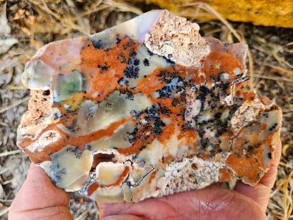 Polished Dendritic Opal DO214