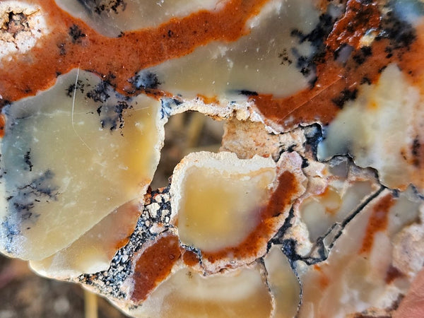 Polished Dendritic Opal DO214