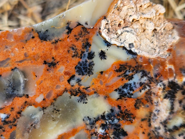 Polished Dendritic Opal DO214