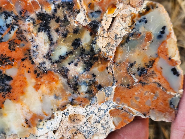 Polished Dendritic Opal DO214