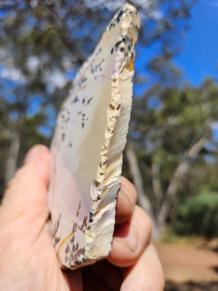 Polished Dendritic Mookaite slab MK532