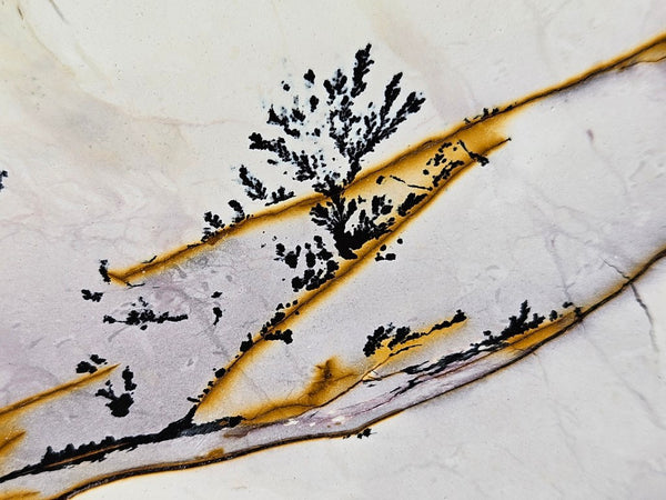 Polished Dendritic Mookaite slab MK531