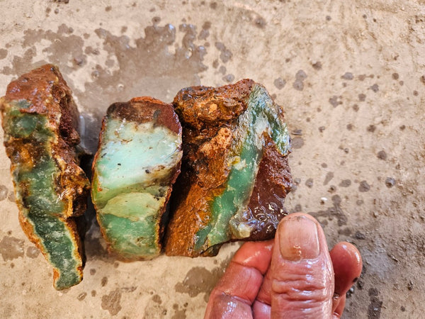 Chrysoprase rough.  CHR 187