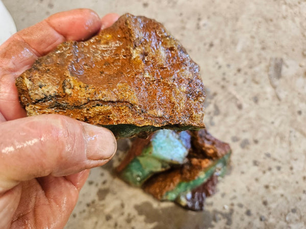 Chrysoprase rough.  CHR 187