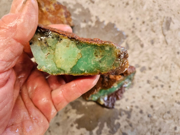 Chrysoprase rough.  CHR 187