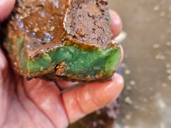 Chrysoprase rough.  CHR 186