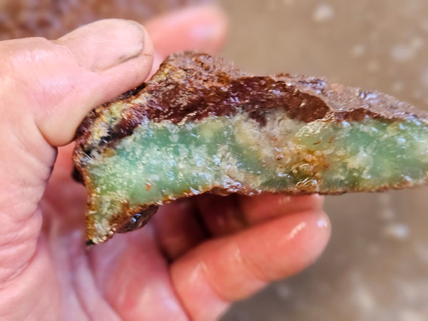 Chrysoprase rough.  CHR 186