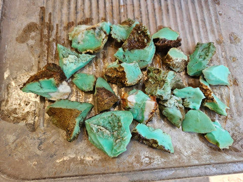 Chrysoprase rough.  CHR 190