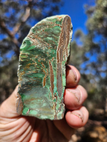 Polished Variscite   VP287