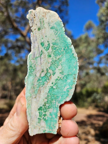 Variscite Polished Slab.  VP 285