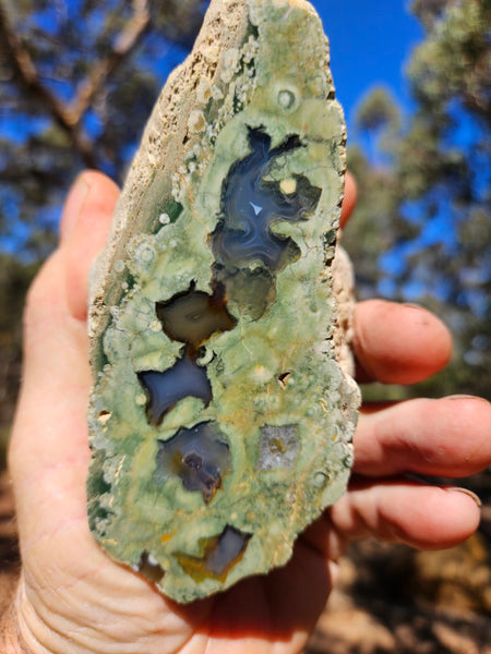 Polished Rainforest Jasper RFJ147