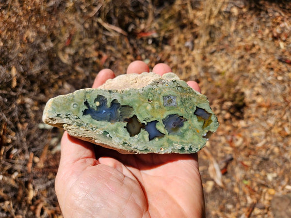 Polished Rainforest Jasper RFJ147