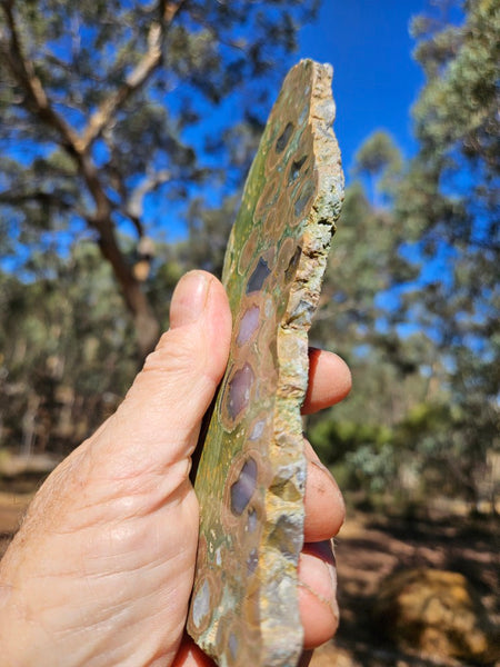 Polished Rainforest Jasper slab RFJ148