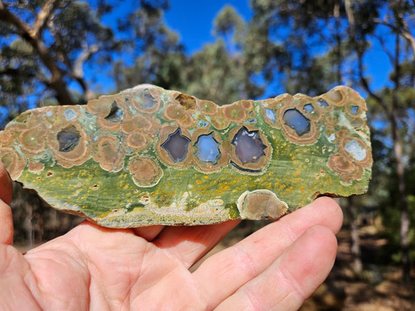 Polished Rainforest Jasper slab RFJ148