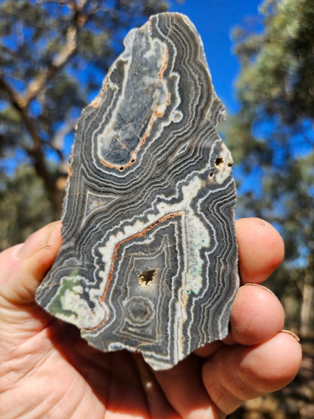 Polished Wyloo Agate slab WA143