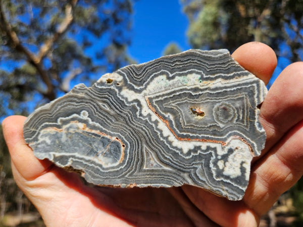 Polished Wyloo Agate slab WA143