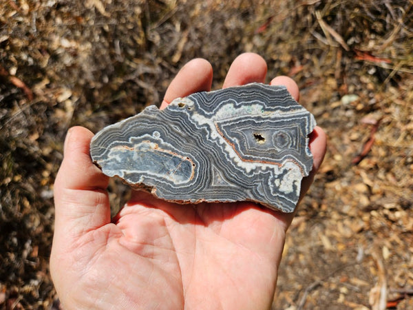 Polished Wyloo Agate slab WA143