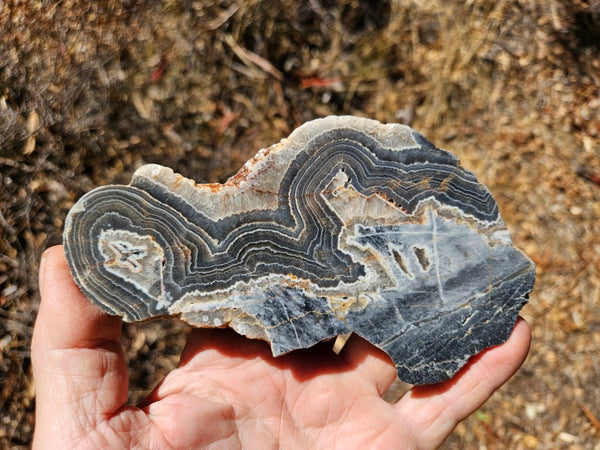 Polished Wyloo Agate slab WA144