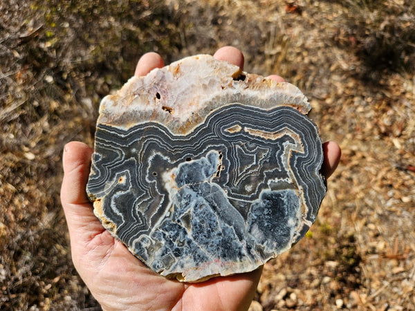 Polished Wyloo Agate slab WA145