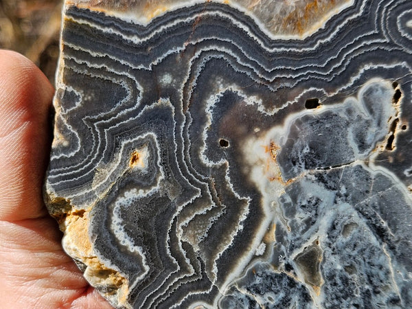 Polished Wyloo Agate slab WA145