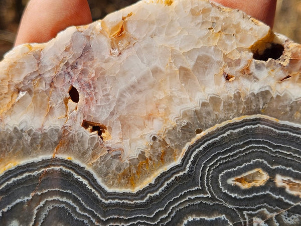 Polished Wyloo Agate slab WA145