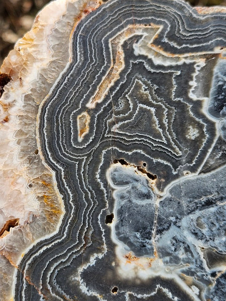 Polished Wyloo Agate slab WA145