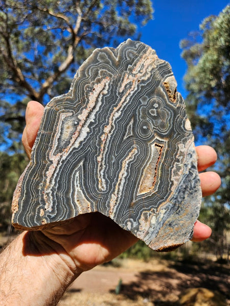 Polished Wyloo Agate slab WA146