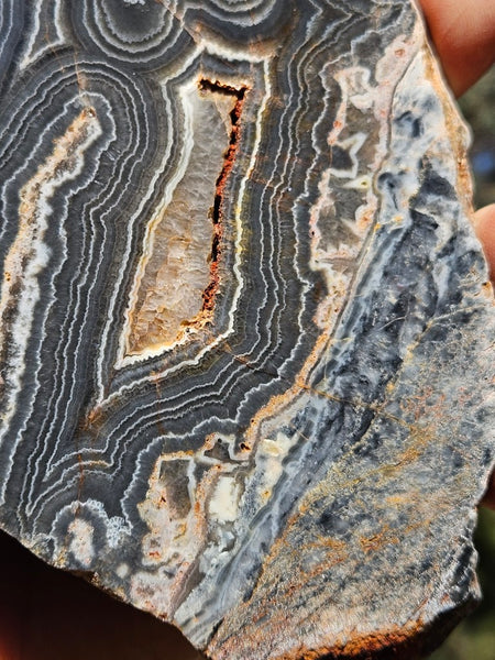 Polished Wyloo Agate slab WA146