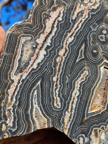 Polished Wyloo Agate slab WA146