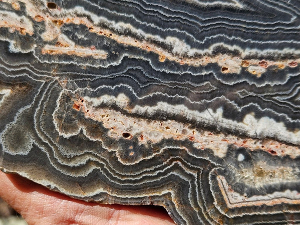 Polished Wyloo Agate slab WA146