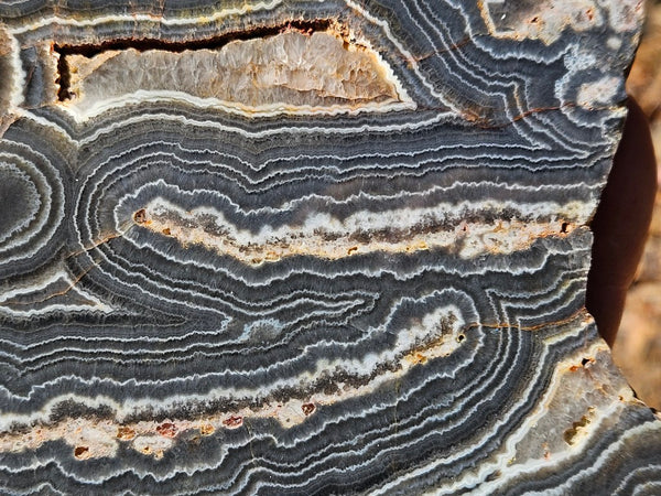 Polished Wyloo Agate slab WA146