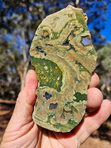 Polished Rainforest Jasper slab RFJ149