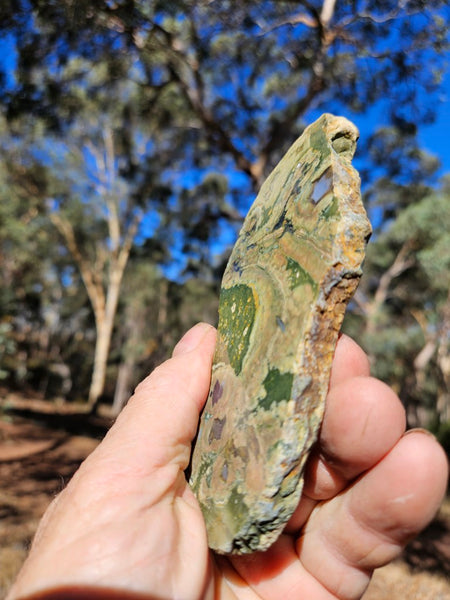 Polished Rainforest Jasper slab RFJ149