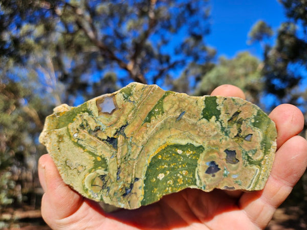 Polished Rainforest Jasper slab RFJ149