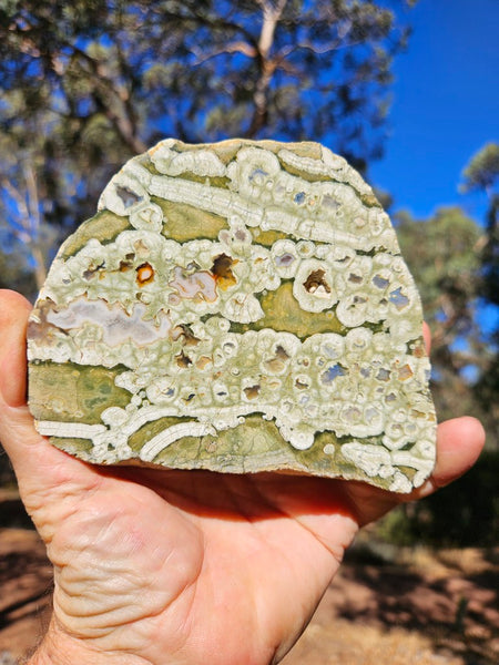 Polished Rainforest Jasper RFJ151