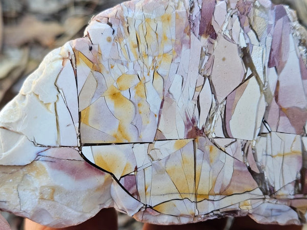 Polished Brecciated Mookaite rock BM331