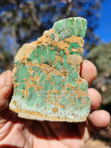 Variscite Polished Slab.  VP 288